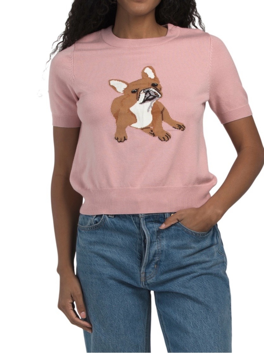 NWT SUNDAY EDITION pink short sleeve French bulldog sweater-L